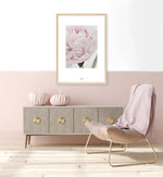 Paeonia Art Print-PRINT-Olive et Oriel-Olive et Oriel-Buy-Australian-Art-Prints-Online-with-Olive-et-Oriel-Your-Artwork-Specialists-Austrailia-Decorate-With-Coastal-Photo-Wall-Art-Prints-From-Our-Beach-House-Artwork-Collection-Fine-Poster-and-Framed-Artwork
