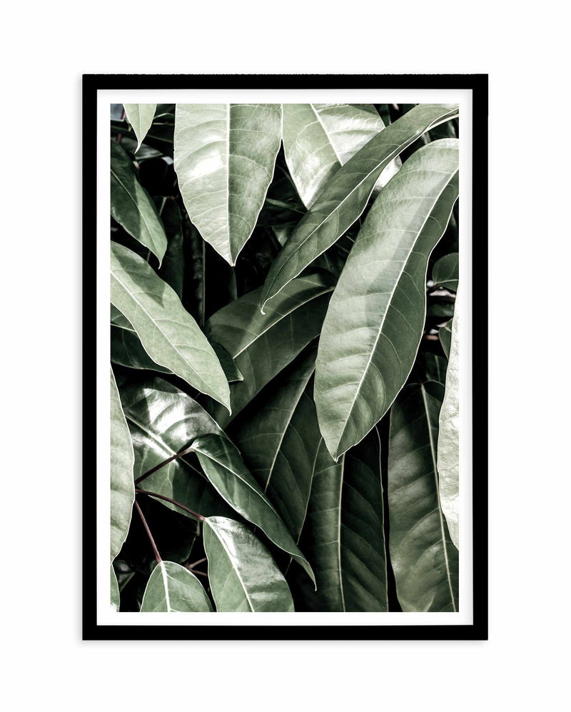 Pale Leaves Art Print-PRINT-Olive et Oriel-Olive et Oriel-A5 | 5.8" x 8.3" | 14.8 x 21cm-Black-With White Border-Buy-Australian-Art-Prints-Online-with-Olive-et-Oriel-Your-Artwork-Specialists-Austrailia-Decorate-With-Coastal-Photo-Wall-Art-Prints-From-Our-Beach-House-Artwork-Collection-Fine-Poster-and-Framed-Artwork