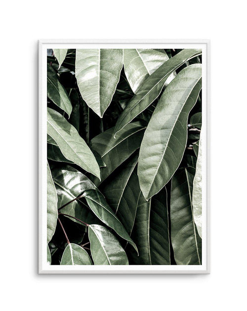 Pale Leaves Art Print-PRINT-Olive et Oriel-Olive et Oriel-A5 | 5.8" x 8.3" | 14.8 x 21cm-Unframed Art Print-With White Border-Buy-Australian-Art-Prints-Online-with-Olive-et-Oriel-Your-Artwork-Specialists-Austrailia-Decorate-With-Coastal-Photo-Wall-Art-Prints-From-Our-Beach-House-Artwork-Collection-Fine-Poster-and-Framed-Artwork