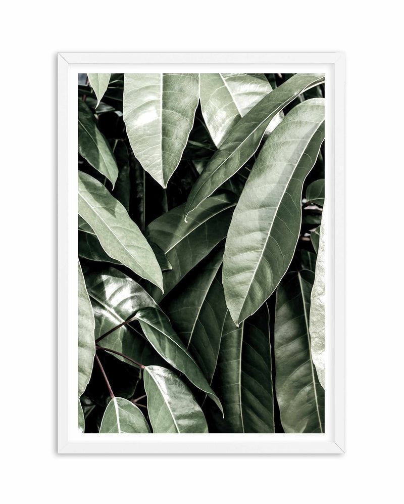 Pale Leaves Art Print-PRINT-Olive et Oriel-Olive et Oriel-A5 | 5.8" x 8.3" | 14.8 x 21cm-White-With White Border-Buy-Australian-Art-Prints-Online-with-Olive-et-Oriel-Your-Artwork-Specialists-Austrailia-Decorate-With-Coastal-Photo-Wall-Art-Prints-From-Our-Beach-House-Artwork-Collection-Fine-Poster-and-Framed-Artwork