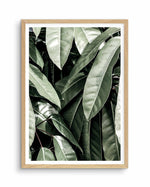 Pale Leaves Art Print-PRINT-Olive et Oriel-Olive et Oriel-A5 | 5.8" x 8.3" | 14.8 x 21cm-Oak-With White Border-Buy-Australian-Art-Prints-Online-with-Olive-et-Oriel-Your-Artwork-Specialists-Austrailia-Decorate-With-Coastal-Photo-Wall-Art-Prints-From-Our-Beach-House-Artwork-Collection-Fine-Poster-and-Framed-Artwork