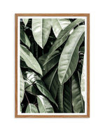 Pale Leaves Art Print-PRINT-Olive et Oriel-Olive et Oriel-50x70 cm | 19.6" x 27.5"-Walnut-With White Border-Buy-Australian-Art-Prints-Online-with-Olive-et-Oriel-Your-Artwork-Specialists-Austrailia-Decorate-With-Coastal-Photo-Wall-Art-Prints-From-Our-Beach-House-Artwork-Collection-Fine-Poster-and-Framed-Artwork