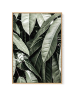 Pale Leaves | Framed Canvas-CANVAS-You can shop wall art online with Olive et Oriel for everything from abstract art to fun kids wall art. Our beautiful modern art prints and canvas art are available from large canvas prints to wall art paintings and our proudly Australian artwork collection offers only the highest quality framed large wall art and canvas art Australia - You can buy fashion photography prints or Hampton print posters and paintings on canvas from Olive et Oriel and have them deli