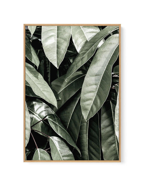 Pale Leaves | Framed Canvas-CANVAS-You can shop wall art online with Olive et Oriel for everything from abstract art to fun kids wall art. Our beautiful modern art prints and canvas art are available from large canvas prints to wall art paintings and our proudly Australian artwork collection offers only the highest quality framed large wall art and canvas art Australia - You can buy fashion photography prints or Hampton print posters and paintings on canvas from Olive et Oriel and have them deli