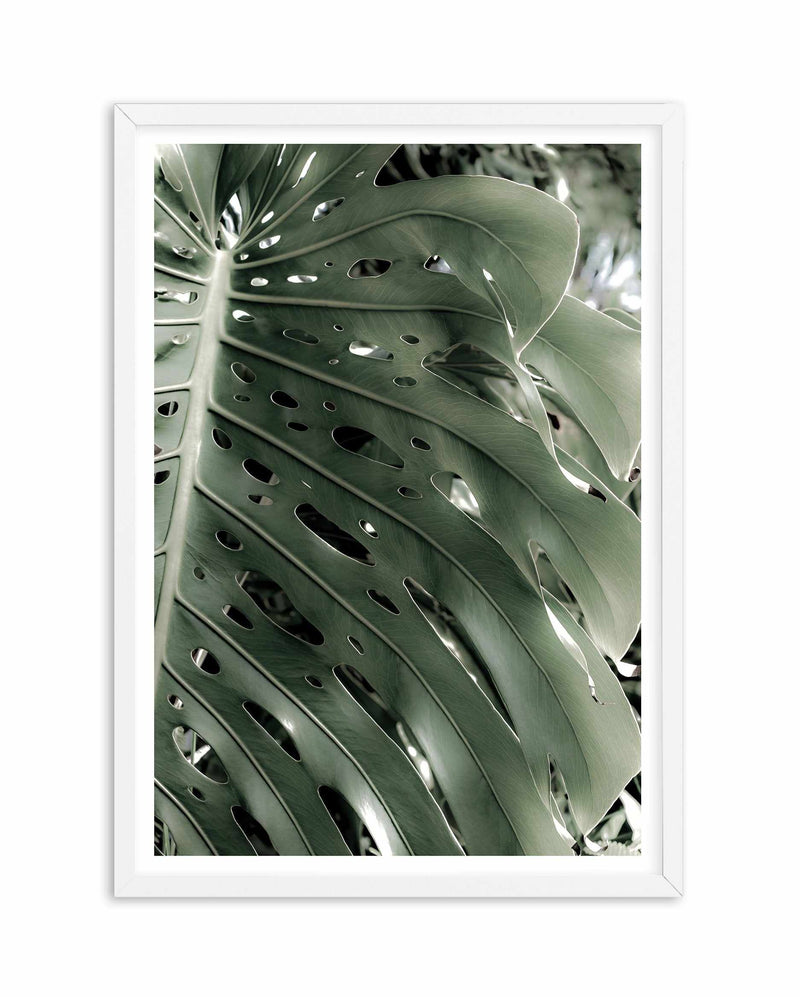 Pale Monstera Art Print-PRINT-Olive et Oriel-Olive et Oriel-A5 | 5.8" x 8.3" | 14.8 x 21cm-White-With White Border-Buy-Australian-Art-Prints-Online-with-Olive-et-Oriel-Your-Artwork-Specialists-Austrailia-Decorate-With-Coastal-Photo-Wall-Art-Prints-From-Our-Beach-House-Artwork-Collection-Fine-Poster-and-Framed-Artwork