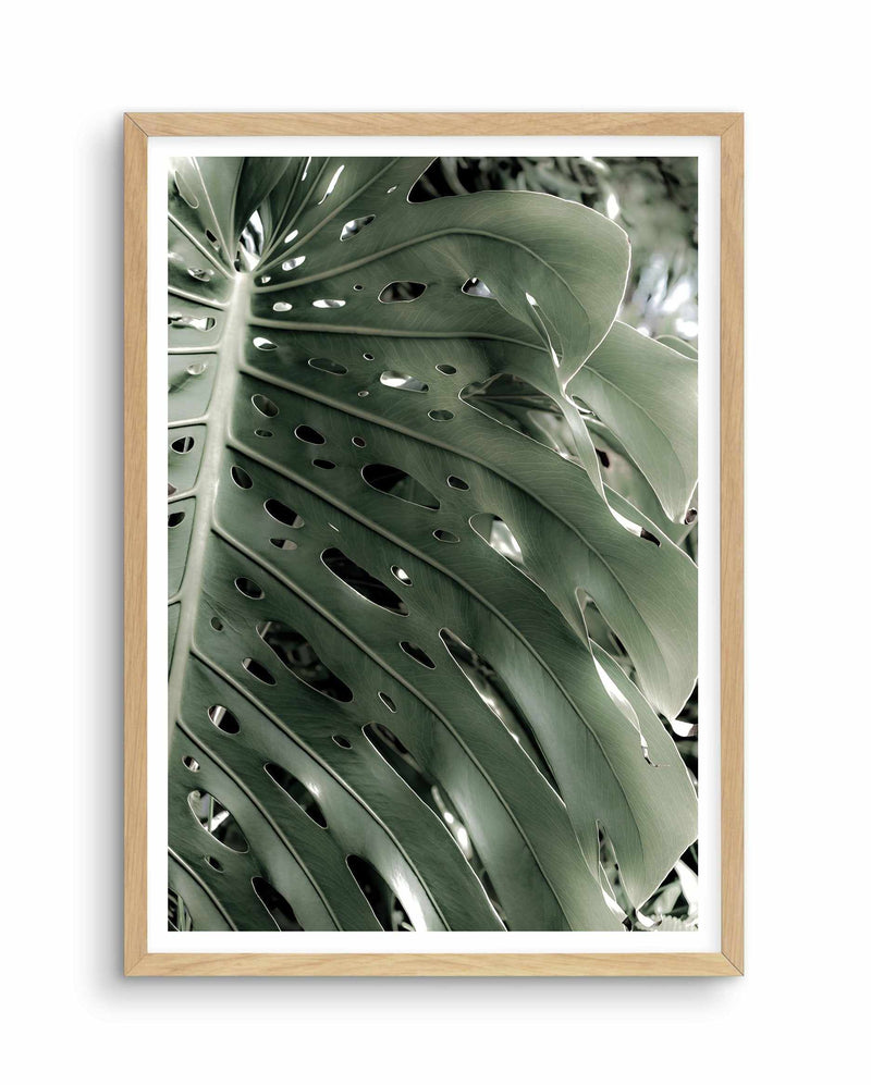 Pale Monstera Art Print-PRINT-Olive et Oriel-Olive et Oriel-A5 | 5.8" x 8.3" | 14.8 x 21cm-Oak-With White Border-Buy-Australian-Art-Prints-Online-with-Olive-et-Oriel-Your-Artwork-Specialists-Austrailia-Decorate-With-Coastal-Photo-Wall-Art-Prints-From-Our-Beach-House-Artwork-Collection-Fine-Poster-and-Framed-Artwork