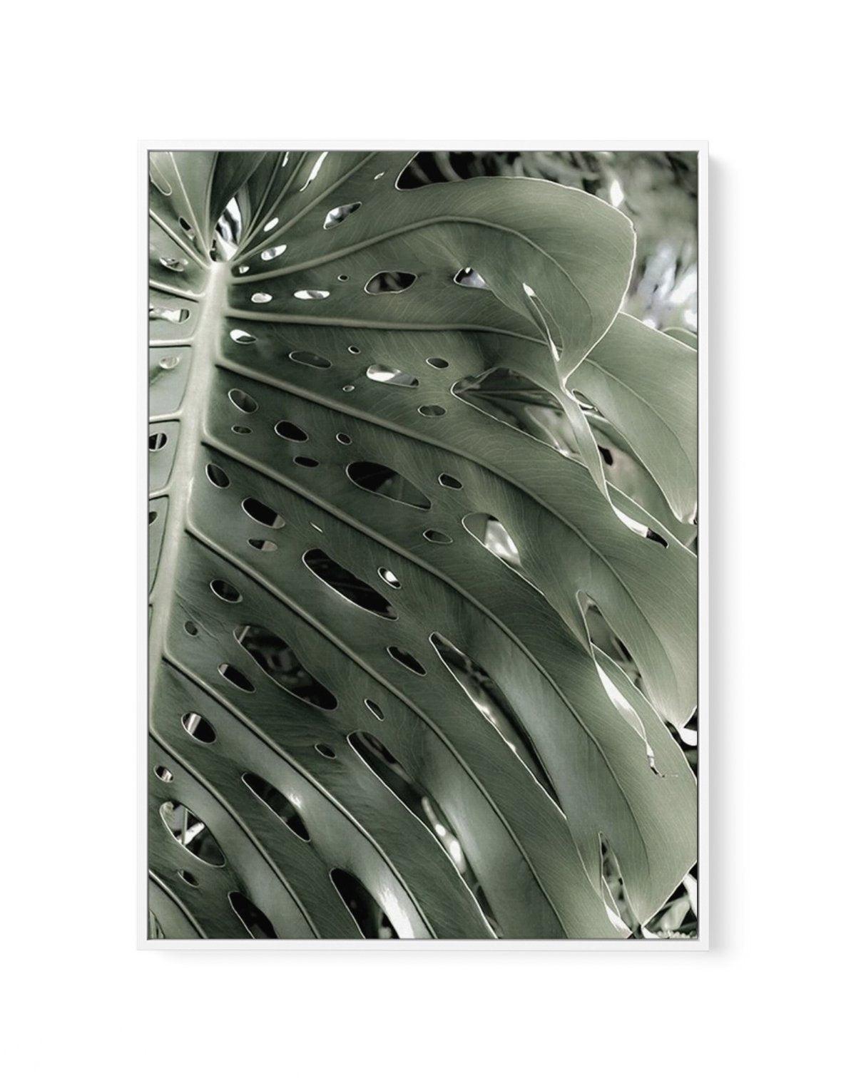 Pale Monstera | Framed Canvas-CANVAS-You can shop wall art online with Olive et Oriel for everything from abstract art to fun kids wall art. Our beautiful modern art prints and canvas art are available from large canvas prints to wall art paintings and our proudly Australian artwork collection offers only the highest quality framed large wall art and canvas art Australia - You can buy fashion photography prints or Hampton print posters and paintings on canvas from Olive et Oriel and have them de