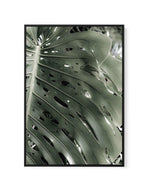 Pale Monstera | Framed Canvas-CANVAS-You can shop wall art online with Olive et Oriel for everything from abstract art to fun kids wall art. Our beautiful modern art prints and canvas art are available from large canvas prints to wall art paintings and our proudly Australian artwork collection offers only the highest quality framed large wall art and canvas art Australia - You can buy fashion photography prints or Hampton print posters and paintings on canvas from Olive et Oriel and have them de