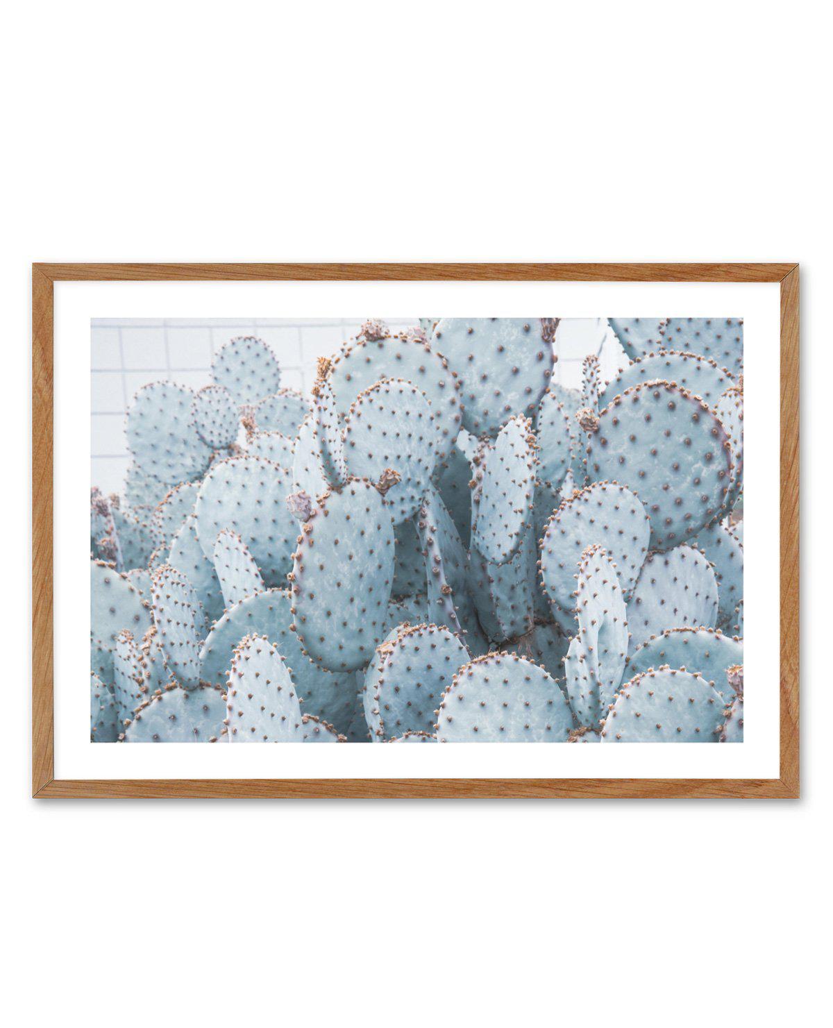 Pale Prickly Pear Cactus | LS Art Print-PRINT-Olive et Oriel-Olive et Oriel-50x70 cm | 19.6" x 27.5"-Walnut-With White Border-Buy-Australian-Art-Prints-Online-with-Olive-et-Oriel-Your-Artwork-Specialists-Austrailia-Decorate-With-Coastal-Photo-Wall-Art-Prints-From-Our-Beach-House-Artwork-Collection-Fine-Poster-and-Framed-Artwork