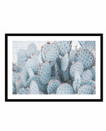 Pale Prickly Pear Cactus | LS Art Print-PRINT-Olive et Oriel-Olive et Oriel-A4 | 8.3" x 11.7" | 21 x 29.7cm-Black-With White Border-Buy-Australian-Art-Prints-Online-with-Olive-et-Oriel-Your-Artwork-Specialists-Austrailia-Decorate-With-Coastal-Photo-Wall-Art-Prints-From-Our-Beach-House-Artwork-Collection-Fine-Poster-and-Framed-Artwork