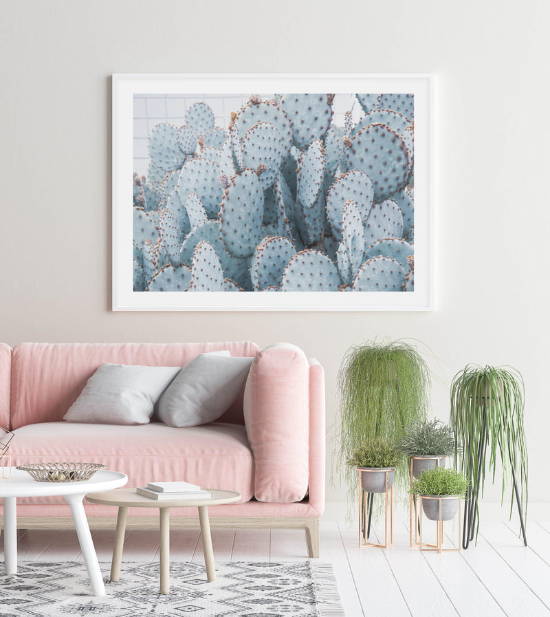 Pale Prickly Pear Cactus | LS Art Print-PRINT-Olive et Oriel-Olive et Oriel-Buy-Australian-Art-Prints-Online-with-Olive-et-Oriel-Your-Artwork-Specialists-Austrailia-Decorate-With-Coastal-Photo-Wall-Art-Prints-From-Our-Beach-House-Artwork-Collection-Fine-Poster-and-Framed-Artwork