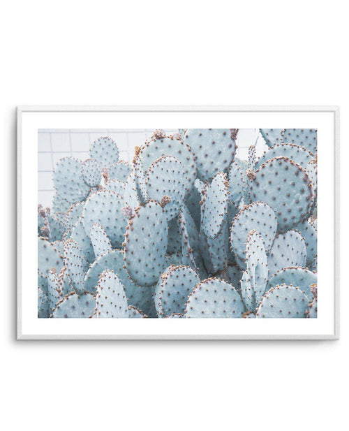 Pale Prickly Pear Cactus | LS Art Print-PRINT-Olive et Oriel-Olive et Oriel-A4 | 8.3" x 11.7" | 21 x 29.7cm-Unframed Art Print-With White Border-Buy-Australian-Art-Prints-Online-with-Olive-et-Oriel-Your-Artwork-Specialists-Austrailia-Decorate-With-Coastal-Photo-Wall-Art-Prints-From-Our-Beach-House-Artwork-Collection-Fine-Poster-and-Framed-Artwork