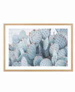 Pale Prickly Pear Cactus | LS Art Print-PRINT-Olive et Oriel-Olive et Oriel-A4 | 8.3" x 11.7" | 21 x 29.7cm-Oak-With White Border-Buy-Australian-Art-Prints-Online-with-Olive-et-Oriel-Your-Artwork-Specialists-Austrailia-Decorate-With-Coastal-Photo-Wall-Art-Prints-From-Our-Beach-House-Artwork-Collection-Fine-Poster-and-Framed-Artwork