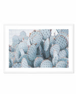 Pale Prickly Pear Cactus | LS Art Print-PRINT-Olive et Oriel-Olive et Oriel-A4 | 8.3" x 11.7" | 21 x 29.7cm-White-With White Border-Buy-Australian-Art-Prints-Online-with-Olive-et-Oriel-Your-Artwork-Specialists-Austrailia-Decorate-With-Coastal-Photo-Wall-Art-Prints-From-Our-Beach-House-Artwork-Collection-Fine-Poster-and-Framed-Artwork