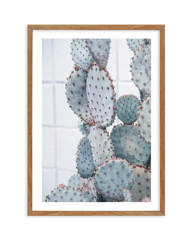 Pale Prickly Pear I Art Print-PRINT-Olive et Oriel-Olive et Oriel-50x70 cm | 19.6" x 27.5"-Walnut-With White Border-Buy-Australian-Art-Prints-Online-with-Olive-et-Oriel-Your-Artwork-Specialists-Austrailia-Decorate-With-Coastal-Photo-Wall-Art-Prints-From-Our-Beach-House-Artwork-Collection-Fine-Poster-and-Framed-Artwork