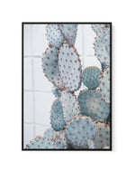 Pale Prickly Pear I | Framed Canvas-CANVAS-You can shop wall art online with Olive et Oriel for everything from abstract art to fun kids wall art. Our beautiful modern art prints and canvas art are available from large canvas prints to wall art paintings and our proudly Australian artwork collection offers only the highest quality framed large wall art and canvas art Australia - You can buy fashion photography prints or Hampton print posters and paintings on canvas from Olive et Oriel and have t