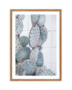 Pale Prickly Pear II Art Print-PRINT-Olive et Oriel-Olive et Oriel-50x70 cm | 19.6" x 27.5"-Walnut-With White Border-Buy-Australian-Art-Prints-Online-with-Olive-et-Oriel-Your-Artwork-Specialists-Austrailia-Decorate-With-Coastal-Photo-Wall-Art-Prints-From-Our-Beach-House-Artwork-Collection-Fine-Poster-and-Framed-Artwork