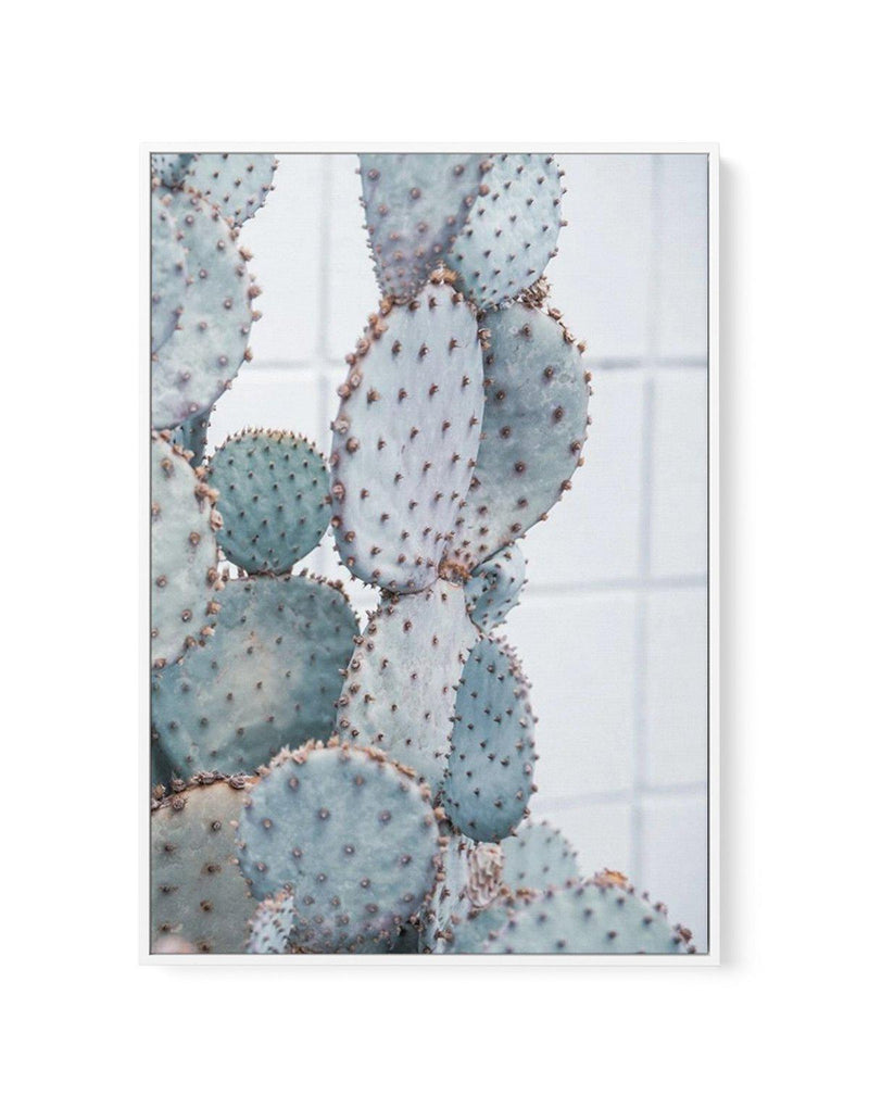 Pale Prickly Pear II | Framed Canvas-CANVAS-You can shop wall art online with Olive et Oriel for everything from abstract art to fun kids wall art. Our beautiful modern art prints and canvas art are available from large canvas prints to wall art paintings and our proudly Australian artwork collection offers only the highest quality framed large wall art and canvas art Australia - You can buy fashion photography prints or Hampton print posters and paintings on canvas from Olive et Oriel and have 