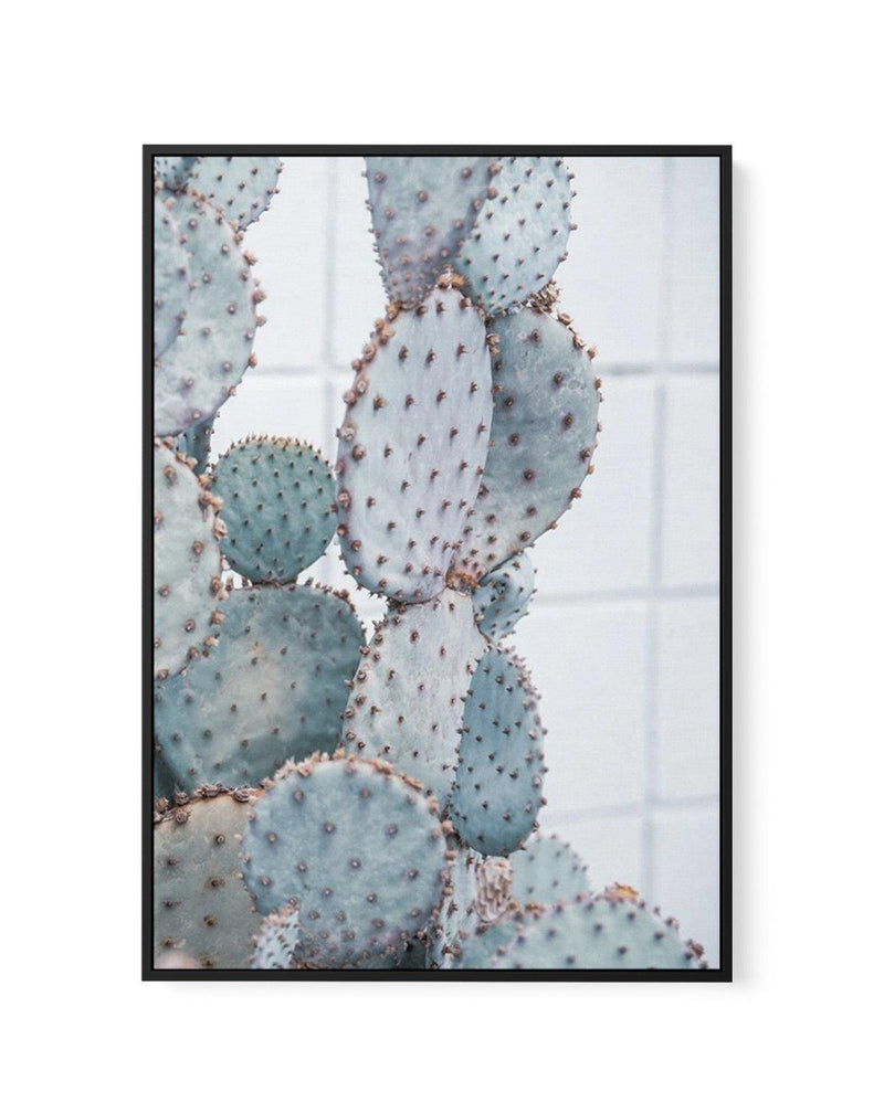 Pale Prickly Pear II | Framed Canvas-CANVAS-You can shop wall art online with Olive et Oriel for everything from abstract art to fun kids wall art. Our beautiful modern art prints and canvas art are available from large canvas prints to wall art paintings and our proudly Australian artwork collection offers only the highest quality framed large wall art and canvas art Australia - You can buy fashion photography prints or Hampton print posters and paintings on canvas from Olive et Oriel and have 