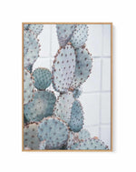 Pale Prickly Pear II | Framed Canvas