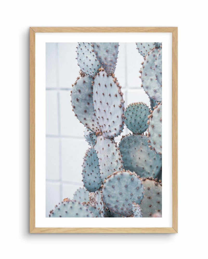 Pale Prickly Pear I Art Print-PRINT-Olive et Oriel-Olive et Oriel-A4 | 8.3" x 11.7" | 21 x 29.7cm-Oak-With White Border-Buy-Australian-Art-Prints-Online-with-Olive-et-Oriel-Your-Artwork-Specialists-Austrailia-Decorate-With-Coastal-Photo-Wall-Art-Prints-From-Our-Beach-House-Artwork-Collection-Fine-Poster-and-Framed-Artwork