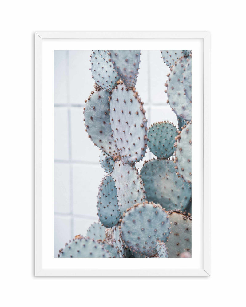 Pale Prickly Pear I Art Print-PRINT-Olive et Oriel-Olive et Oriel-A4 | 8.3" x 11.7" | 21 x 29.7cm-White-With White Border-Buy-Australian-Art-Prints-Online-with-Olive-et-Oriel-Your-Artwork-Specialists-Austrailia-Decorate-With-Coastal-Photo-Wall-Art-Prints-From-Our-Beach-House-Artwork-Collection-Fine-Poster-and-Framed-Artwork