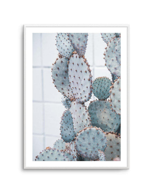 Pale Prickly Pear I Art Print-PRINT-Olive et Oriel-Olive et Oriel-A4 | 8.3" x 11.7" | 21 x 29.7cm-Unframed Art Print-With White Border-Buy-Australian-Art-Prints-Online-with-Olive-et-Oriel-Your-Artwork-Specialists-Austrailia-Decorate-With-Coastal-Photo-Wall-Art-Prints-From-Our-Beach-House-Artwork-Collection-Fine-Poster-and-Framed-Artwork