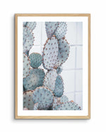 Pale Prickly Pear II Art Print-PRINT-Olive et Oriel-Olive et Oriel-A4 | 8.3" x 11.7" | 21 x 29.7cm-Oak-With White Border-Buy-Australian-Art-Prints-Online-with-Olive-et-Oriel-Your-Artwork-Specialists-Austrailia-Decorate-With-Coastal-Photo-Wall-Art-Prints-From-Our-Beach-House-Artwork-Collection-Fine-Poster-and-Framed-Artwork
