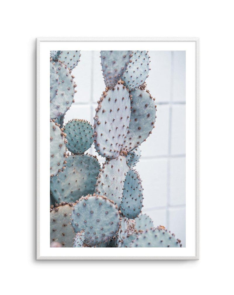 Pale Prickly Pear II Art Print-PRINT-Olive et Oriel-Olive et Oriel-A4 | 8.3" x 11.7" | 21 x 29.7cm-Unframed Art Print-With White Border-Buy-Australian-Art-Prints-Online-with-Olive-et-Oriel-Your-Artwork-Specialists-Austrailia-Decorate-With-Coastal-Photo-Wall-Art-Prints-From-Our-Beach-House-Artwork-Collection-Fine-Poster-and-Framed-Artwork