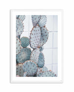 Pale Prickly Pear II Art Print-PRINT-Olive et Oriel-Olive et Oriel-A4 | 8.3" x 11.7" | 21 x 29.7cm-White-With White Border-Buy-Australian-Art-Prints-Online-with-Olive-et-Oriel-Your-Artwork-Specialists-Austrailia-Decorate-With-Coastal-Photo-Wall-Art-Prints-From-Our-Beach-House-Artwork-Collection-Fine-Poster-and-Framed-Artwork