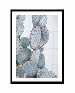 Pale Prickly Pear II Art Print-PRINT-Olive et Oriel-Olive et Oriel-A4 | 8.3" x 11.7" | 21 x 29.7cm-Black-With White Border-Buy-Australian-Art-Prints-Online-with-Olive-et-Oriel-Your-Artwork-Specialists-Austrailia-Decorate-With-Coastal-Photo-Wall-Art-Prints-From-Our-Beach-House-Artwork-Collection-Fine-Poster-and-Framed-Artwork