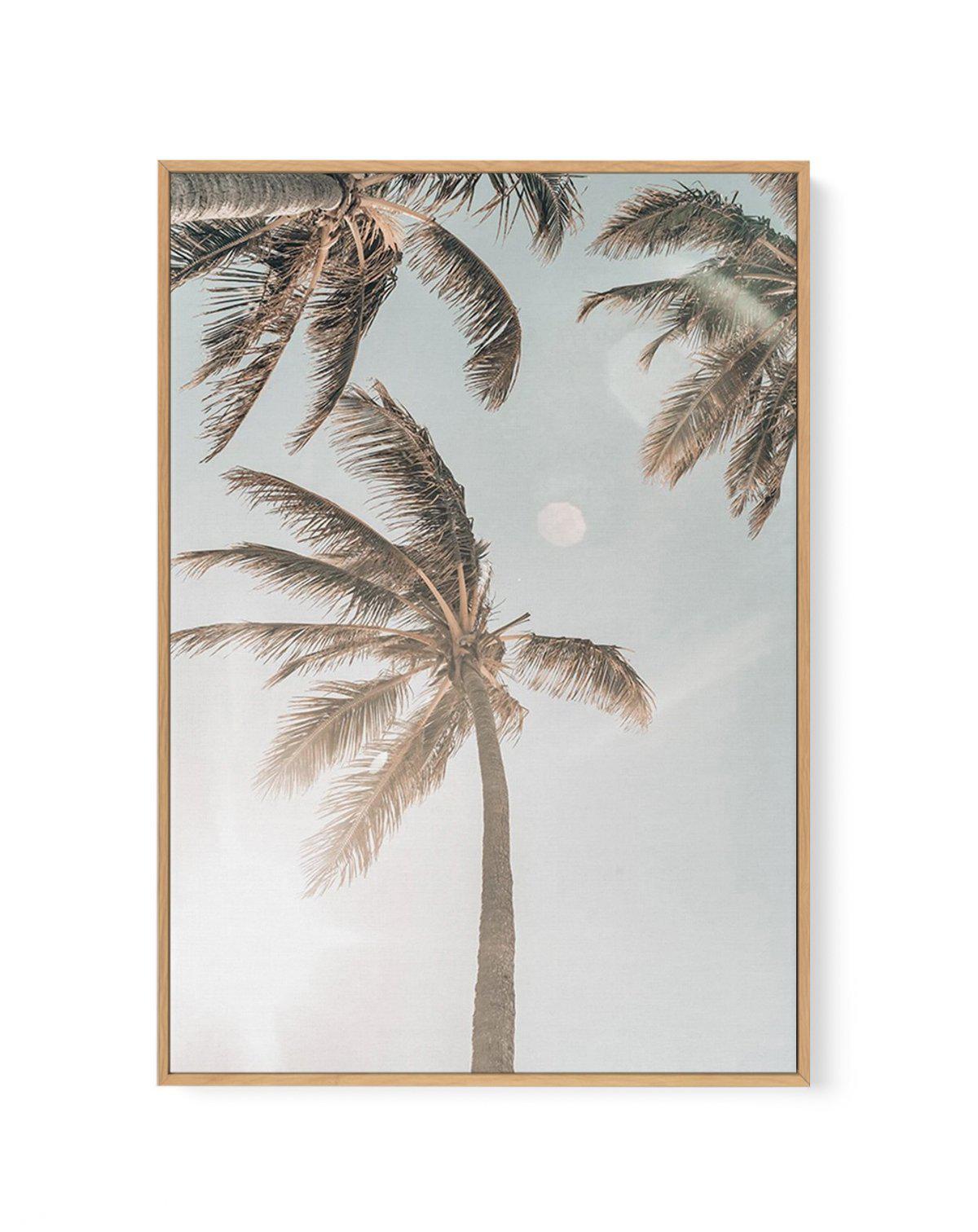 Palm Beach | Framed Canvas-CANVAS-You can shop wall art online with Olive et Oriel for everything from abstract art to fun kids wall art. Our beautiful modern art prints and canvas art are available from large canvas prints to wall art paintings and our proudly Australian artwork collection offers only the highest quality framed large wall art and canvas art Australia - You can buy fashion photography prints or Hampton print posters and paintings on canvas from Olive et Oriel and have them deliv