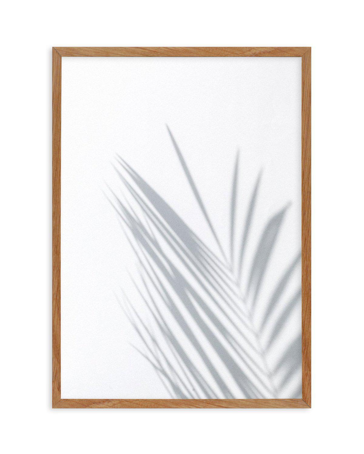 Palm I Art Print-PRINT-Olive et Oriel-Olive et Oriel-50x70 cm | 19.6" x 27.5"-Walnut-With White Border-Buy-Australian-Art-Prints-Online-with-Olive-et-Oriel-Your-Artwork-Specialists-Austrailia-Decorate-With-Coastal-Photo-Wall-Art-Prints-From-Our-Beach-House-Artwork-Collection-Fine-Poster-and-Framed-Artwork