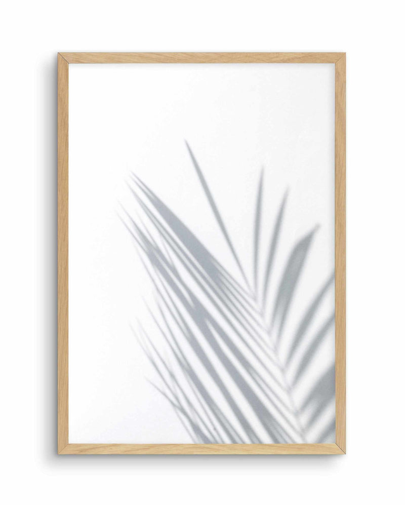 Palm I Art Print-PRINT-Olive et Oriel-Olive et Oriel-A5 | 5.8" x 8.3" | 14.8 x 21cm-Oak-With White Border-Buy-Australian-Art-Prints-Online-with-Olive-et-Oriel-Your-Artwork-Specialists-Austrailia-Decorate-With-Coastal-Photo-Wall-Art-Prints-From-Our-Beach-House-Artwork-Collection-Fine-Poster-and-Framed-Artwork