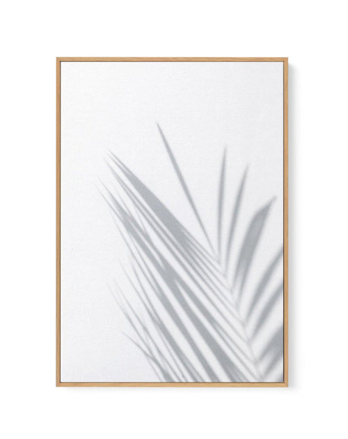 Palm I | Framed Canvas-CANVAS-You can shop wall art online with Olive et Oriel for everything from abstract art to fun kids wall art. Our beautiful modern art prints and canvas art are available from large canvas prints to wall art paintings and our proudly Australian artwork collection offers only the highest quality framed large wall art and canvas art Australia - You can buy fashion photography prints or Hampton print posters and paintings on canvas from Olive et Oriel and have them delivered