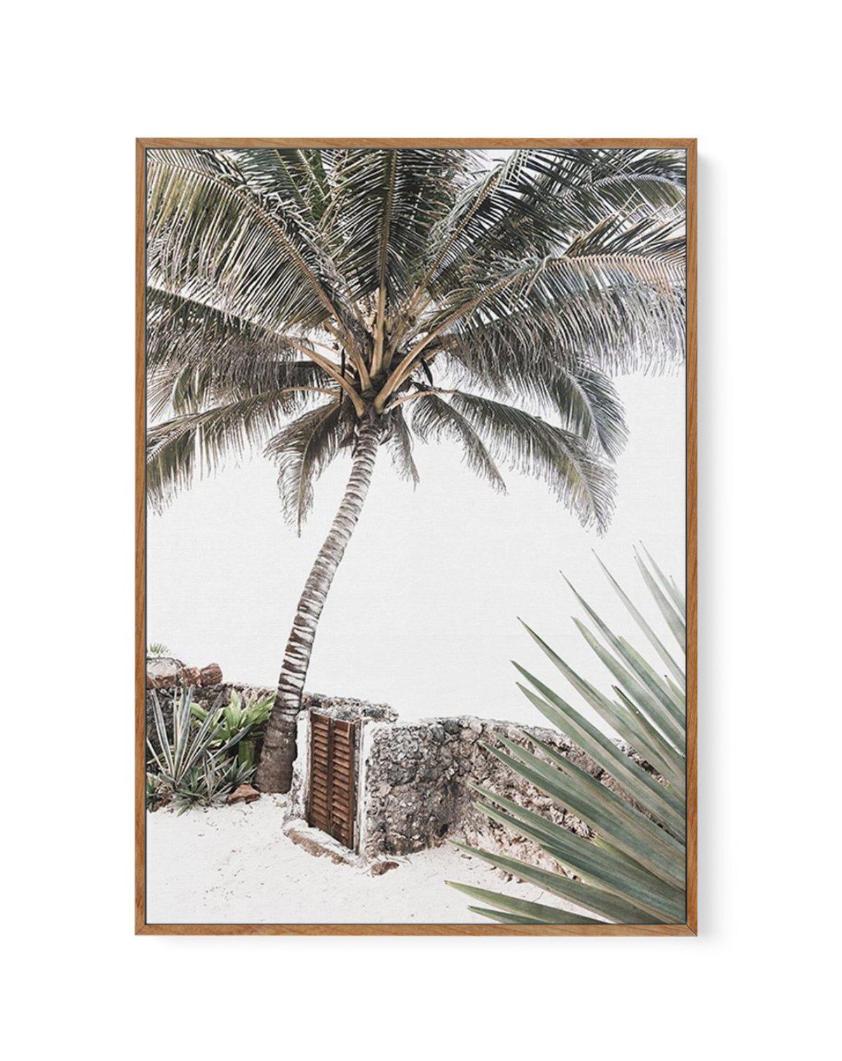SHOP Island Palm - Boho style Framed Canvas Artwork framed in oak ...