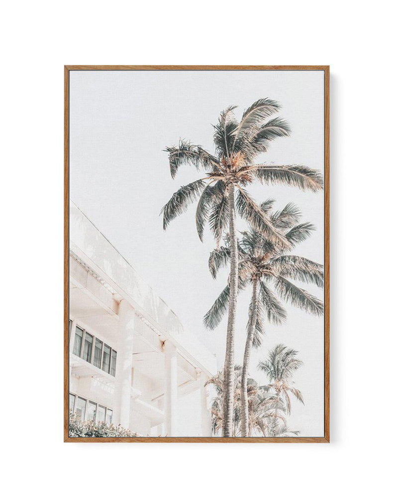 Palm Resort II | Framed Canvas-CANVAS-You can shop wall art online with Olive et Oriel for everything from abstract art to fun kids wall art. Our beautiful modern art prints and canvas art are available from large canvas prints to wall art paintings and our proudly Australian artwork collection offers only the highest quality framed large wall art and canvas art Australia - You can buy fashion photography prints or Hampton print posters and paintings on canvas from Olive et Oriel and have them d