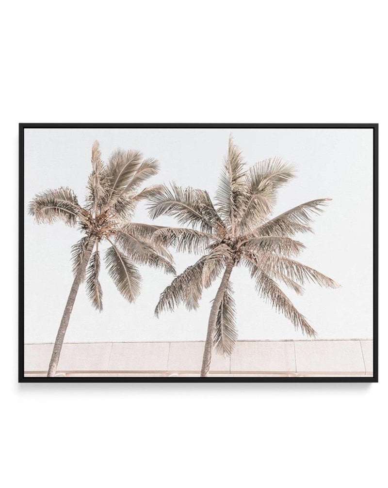 Palm Resort III | Framed Canvas-CANVAS-You can shop wall art online with Olive et Oriel for everything from abstract art to fun kids wall art. Our beautiful modern art prints and canvas art are available from large canvas prints to wall art paintings and our proudly Australian artwork collection offers only the highest quality framed large wall art and canvas art Australia - You can buy fashion photography prints or Hampton print posters and paintings on canvas from Olive et Oriel and have them 