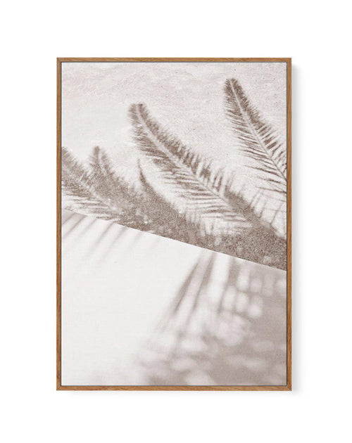 Palm Shadow I | Framed Canvas-CANVAS-You can shop wall art online with Olive et Oriel for everything from abstract art to fun kids wall art. Our beautiful modern art prints and canvas art are available from large canvas prints to wall art paintings and our proudly Australian artwork collection offers only the highest quality framed large wall art and canvas art Australia - You can buy fashion photography prints or Hampton print posters and paintings on canvas from Olive et Oriel and have them de