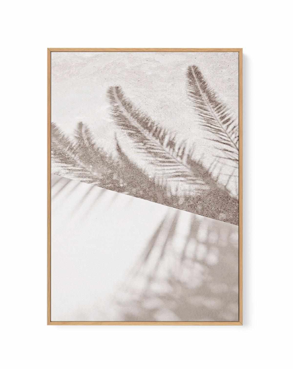 Palm Shadow I | Framed Canvas Art Print