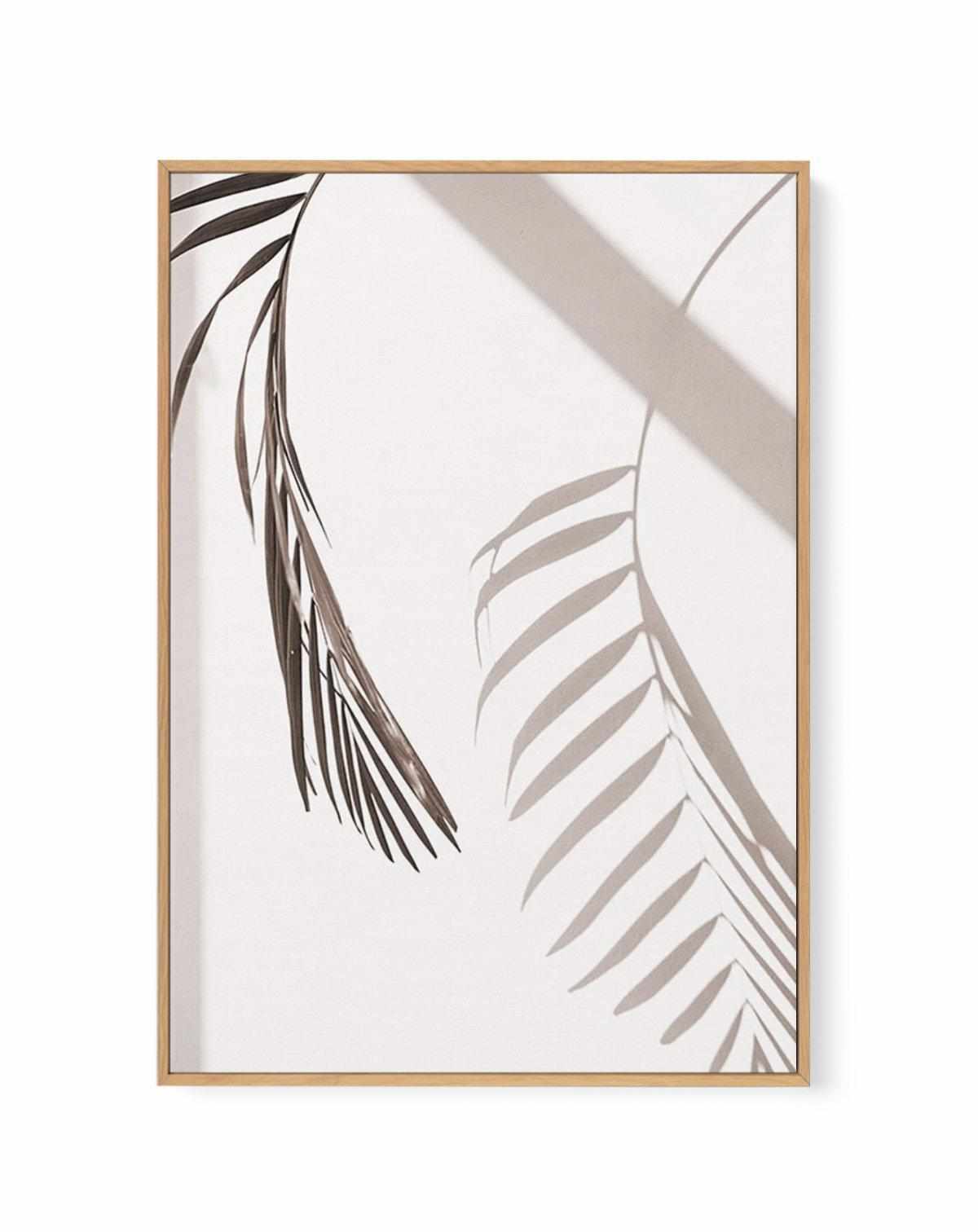 Palm Shadow II | Framed Canvas Art Print