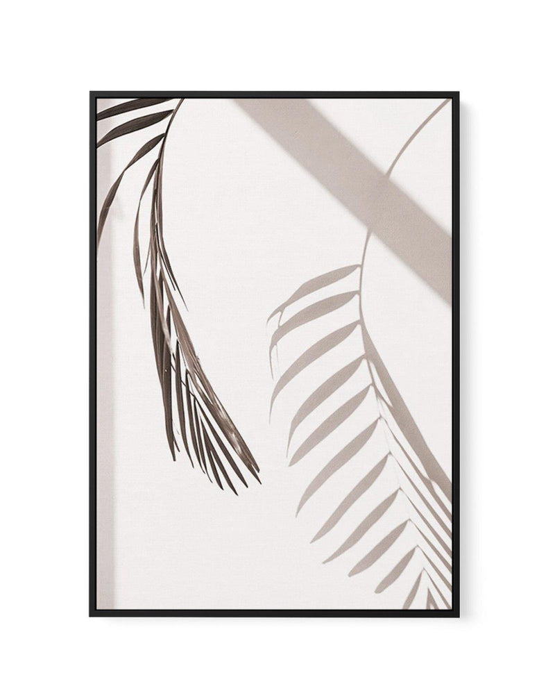 Palm Shadow II | Framed Canvas-CANVAS-You can shop wall art online with Olive et Oriel for everything from abstract art to fun kids wall art. Our beautiful modern art prints and canvas art are available from large canvas prints to wall art paintings and our proudly Australian artwork collection offers only the highest quality framed large wall art and canvas art Australia - You can buy fashion photography prints or Hampton print posters and paintings on canvas from Olive et Oriel and have them d