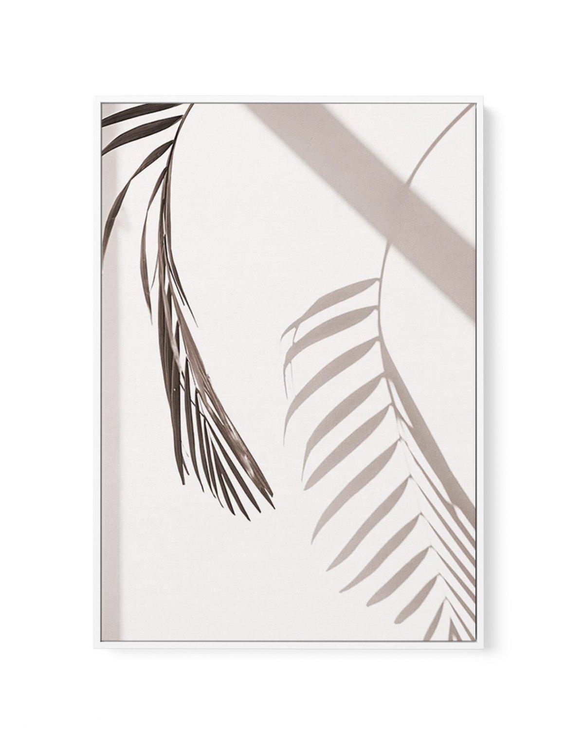 Palm Shadow II | Framed Canvas-CANVAS-You can shop wall art online with Olive et Oriel for everything from abstract art to fun kids wall art. Our beautiful modern art prints and canvas art are available from large canvas prints to wall art paintings and our proudly Australian artwork collection offers only the highest quality framed large wall art and canvas art Australia - You can buy fashion photography prints or Hampton print posters and paintings on canvas from Olive et Oriel and have them d