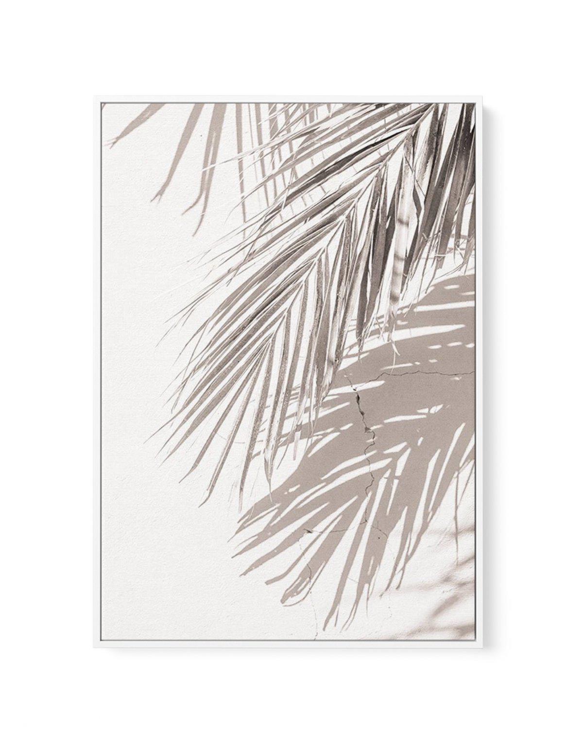 Palm Shadow III | Framed Canvas-CANVAS-You can shop wall art online with Olive et Oriel for everything from abstract art to fun kids wall art. Our beautiful modern art prints and canvas art are available from large canvas prints to wall art paintings and our proudly Australian artwork collection offers only the highest quality framed large wall art and canvas art Australia - You can buy fashion photography prints or Hampton print posters and paintings on canvas from Olive et Oriel and have them 