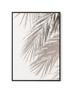 Palm Shadow III | Framed Canvas-CANVAS-You can shop wall art online with Olive et Oriel for everything from abstract art to fun kids wall art. Our beautiful modern art prints and canvas art are available from large canvas prints to wall art paintings and our proudly Australian artwork collection offers only the highest quality framed large wall art and canvas art Australia - You can buy fashion photography prints or Hampton print posters and paintings on canvas from Olive et Oriel and have them 