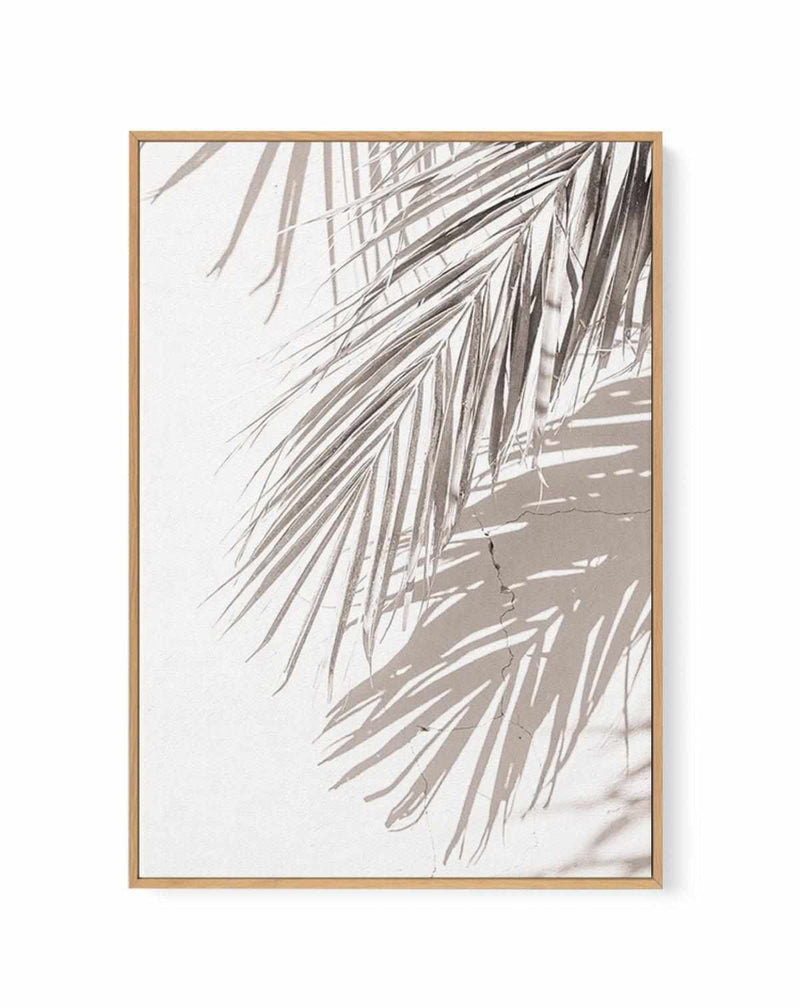 Palm Shadow III | Framed Canvas Art Print