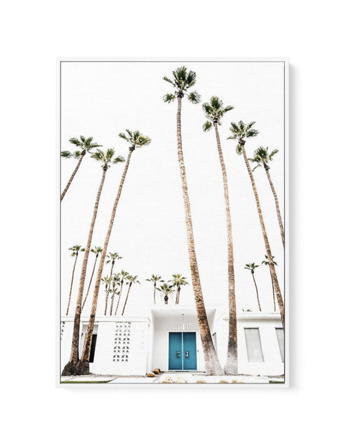 Palm Springs 2444 | Framed Canvas-CANVAS-You can shop wall art online with Olive et Oriel for everything from abstract art to fun kids wall art. Our beautiful modern art prints and canvas art are available from large canvas prints to wall art paintings and our proudly Australian artwork collection offers only the highest quality framed large wall art and canvas art Australia - You can buy fashion photography prints or Hampton print posters and paintings on canvas from Olive et Oriel and have the