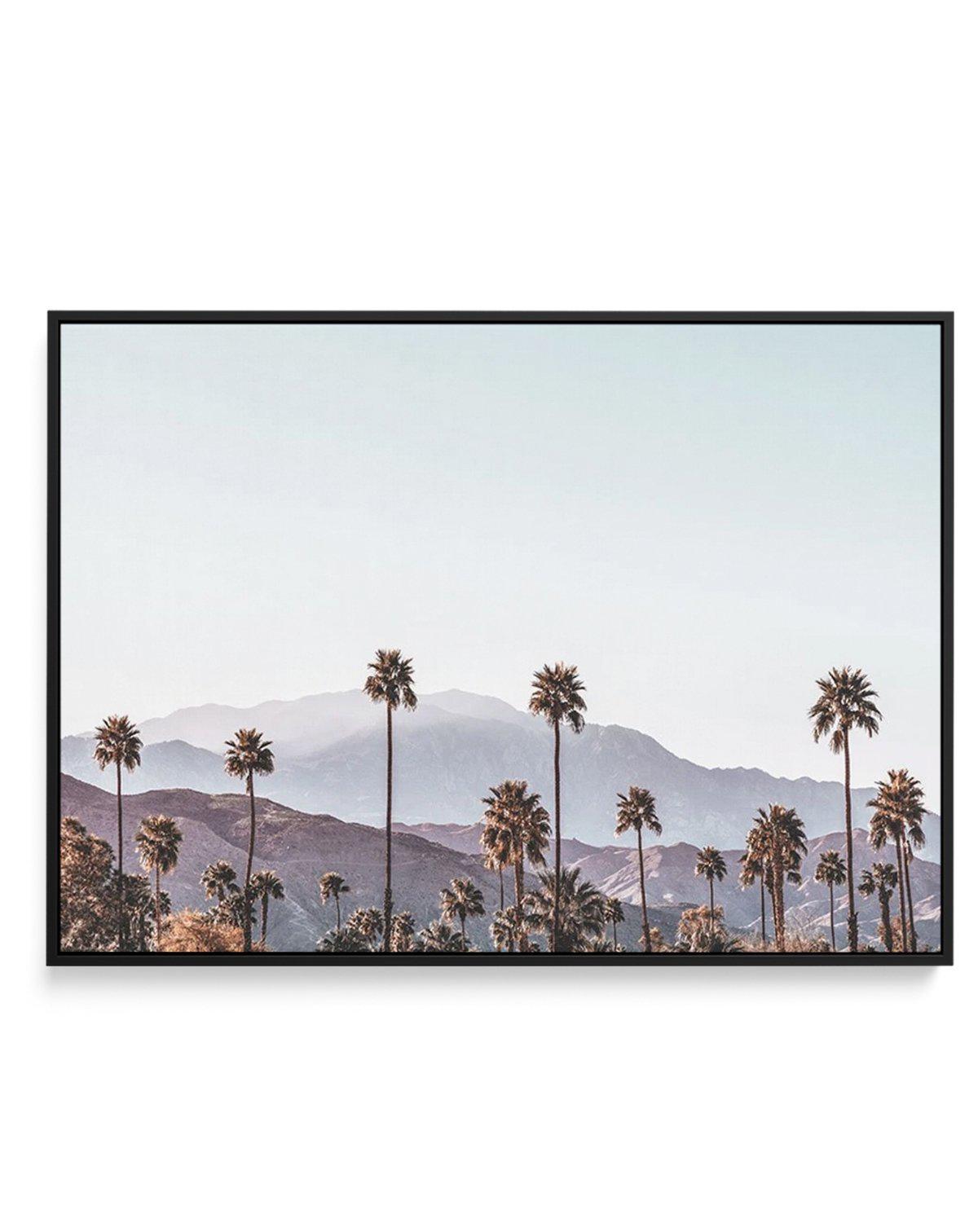 Palm Springs | California | Framed Canvas-CANVAS-You can shop wall art online with Olive et Oriel for everything from abstract art to fun kids wall art. Our beautiful modern art prints and canvas art are available from large canvas prints to wall art paintings and our proudly Australian artwork collection offers only the highest quality framed large wall art and canvas art Australia - You can buy fashion photography prints or Hampton print posters and paintings on canvas from Olive et Oriel and 