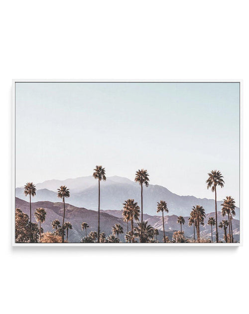 Palm Springs | California | Framed Canvas-CANVAS-You can shop wall art online with Olive et Oriel for everything from abstract art to fun kids wall art. Our beautiful modern art prints and canvas art are available from large canvas prints to wall art paintings and our proudly Australian artwork collection offers only the highest quality framed large wall art and canvas art Australia - You can buy fashion photography prints or Hampton print posters and paintings on canvas from Olive et Oriel and 