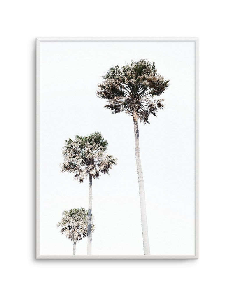 Palm Trees Art Print-PRINT-Olive et Oriel-Olive et Oriel-A5 | 5.8" x 8.3" | 14.8 x 21cm-Unframed Art Print-With White Border-Buy-Australian-Art-Prints-Online-with-Olive-et-Oriel-Your-Artwork-Specialists-Austrailia-Decorate-With-Coastal-Photo-Wall-Art-Prints-From-Our-Beach-House-Artwork-Collection-Fine-Poster-and-Framed-Artwork